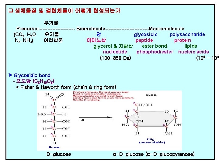  생체물질 및 결합체들이 어떻게 합성되는가 무기물 Precursor----------- Biomolecule--------------Macromolecule (CO 2, H 2 O