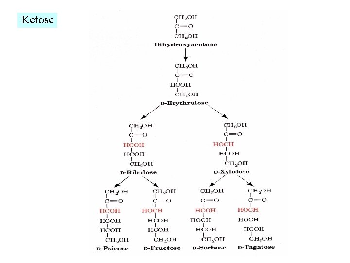 Ketose 