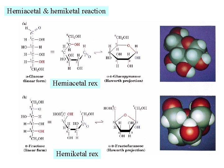 Hemiacetal & hemiketal reaction Hemiacetal rex Hemiketal rex 
