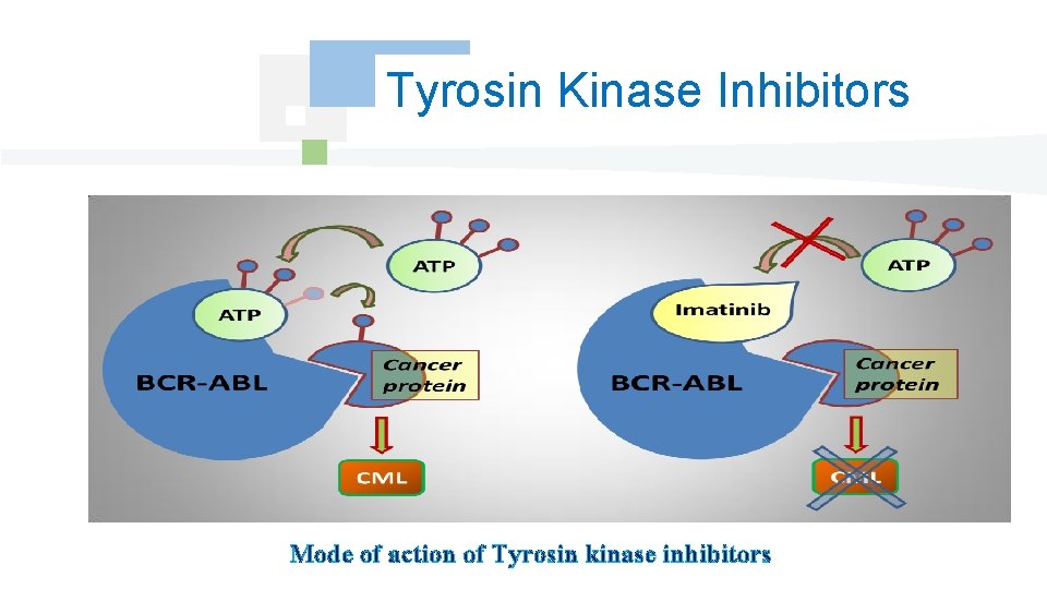 Tyrosin Kinase Inhibitors Mode of action of Tyrosin kinase inhibitors 