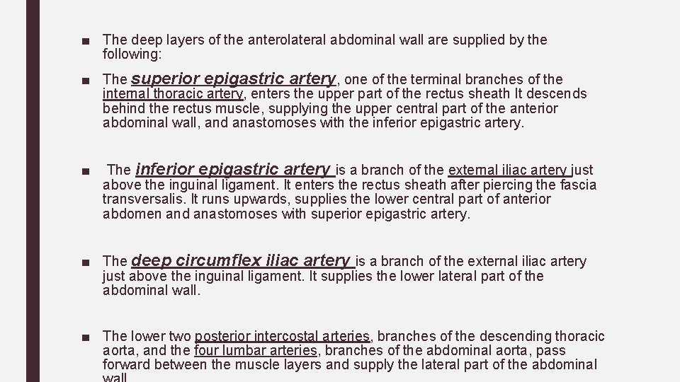 ■ The deep layers of the anterolateral abdominal wall are supplied by the following:
