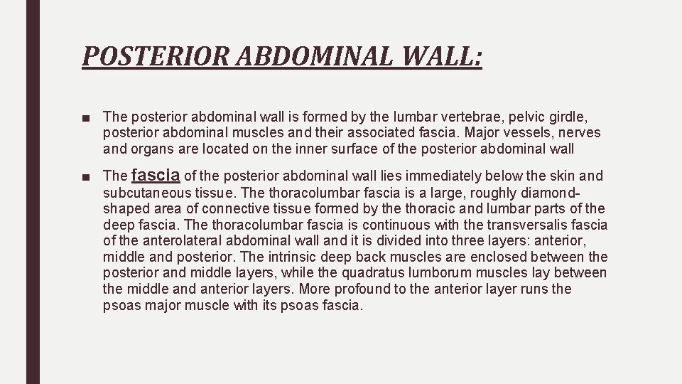 POSTERIOR ABDOMINAL WALL: ■ The posterior abdominal wall is formed by the lumbar vertebrae,