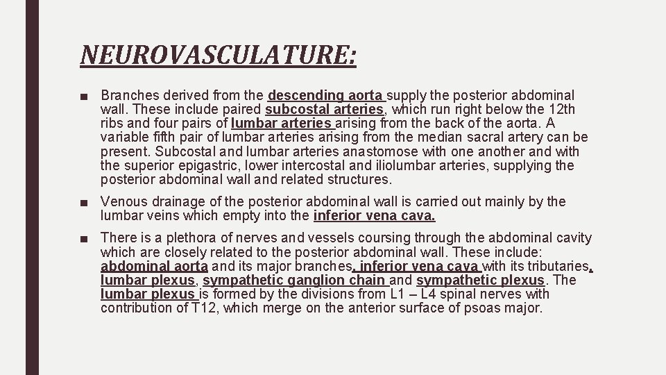 NEUROVASCULATURE: ■ Branches derived from the descending aorta supply the posterior abdominal wall. These