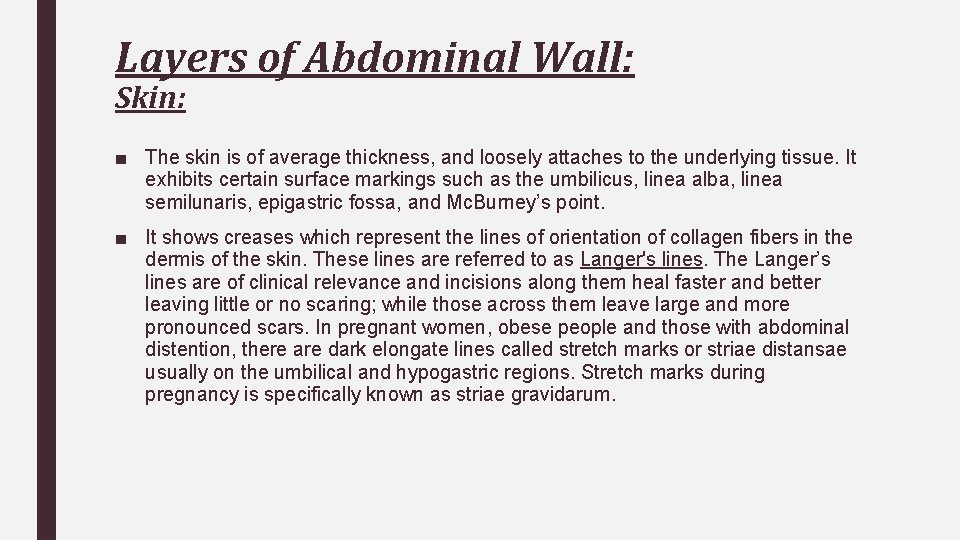 Layers of Abdominal Wall: Skin: ■ The skin is of average thickness, and loosely