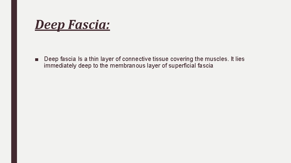 Deep Fascia: ■ Deep fascia Is a thin layer of connective tissue covering the