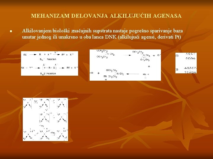 MEHANIZAM DELOVANJA ALKILUJUĆIH AGENASA n Alkilovanjem biološki značajnih supstrata nastaje pogrešno sparivanje baza unutar