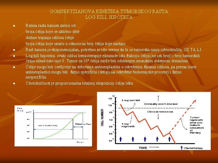 GOMPERTZIANOVA KINETIKA TUMORSKOG RASTA LOG-KILL HIPOTEZA n n n Brzina rasta tumora zavisi od: