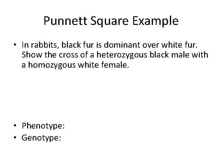 Punnett Square Example • In rabbits, black fur is dominant over white fur. Show