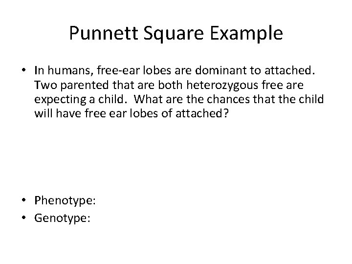 Punnett Square Example • In humans, free-ear lobes are dominant to attached. Two parented