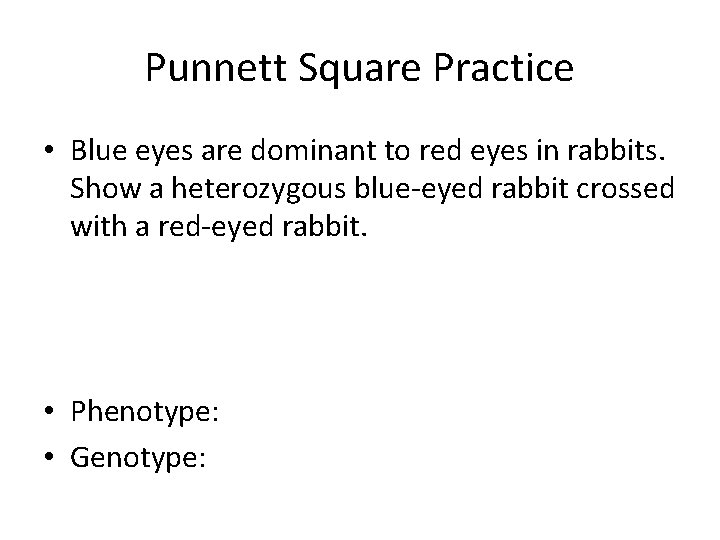 Punnett Square Practice • Blue eyes are dominant to red eyes in rabbits. Show