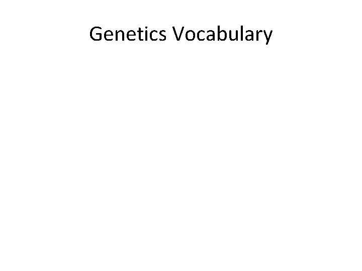 Genetics Vocabulary 