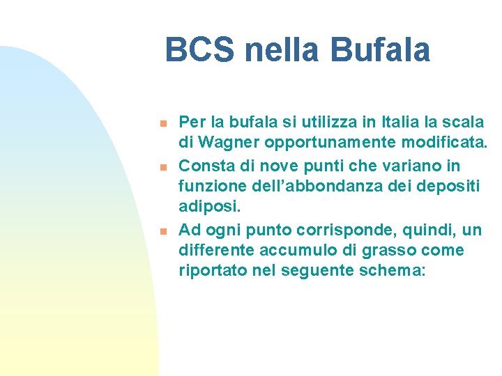 BCS nella Bufala n n n Per la bufala si utilizza in Italia la