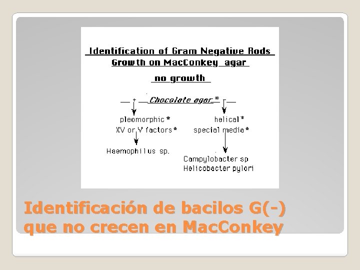 Identificación de bacilos G(-) que no crecen en Mac. Conkey 