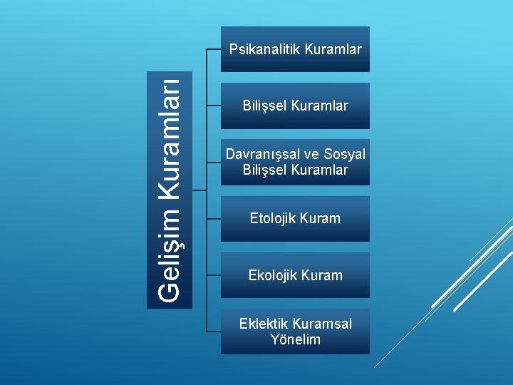 Gelişim Kuramları Psikanalitik Kuramlar Bilişsel Kuramlar Davranışsal ve Sosyal Bilişsel Kuramlar Etolojik Kuram Eklektik