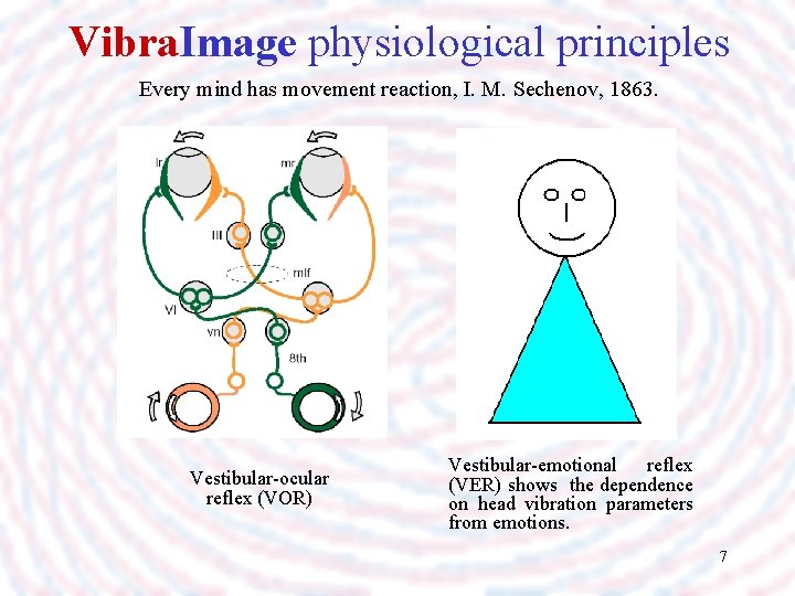 Vibra. Image physiological principles Every mind has movement reaction, I. M. Sechenov, 1863. Vestibular-ocular