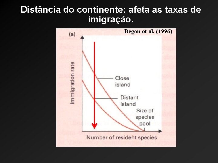 Distância do continente: afeta as taxas de imigração. Begon et al. (1996) 