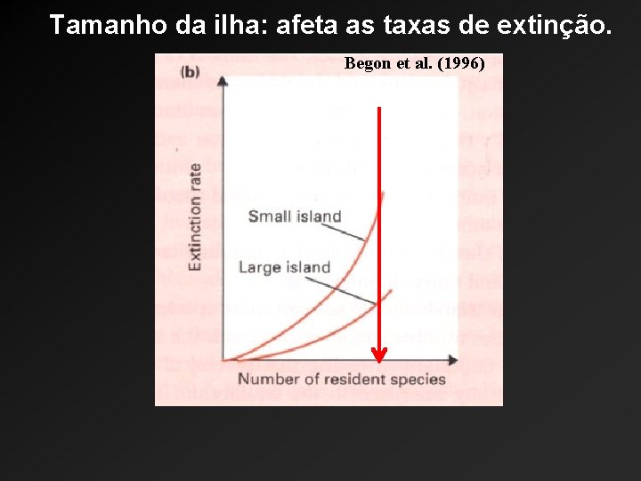 Tamanho da ilha: afeta as taxas de extinção. Begon et al. (1996) 