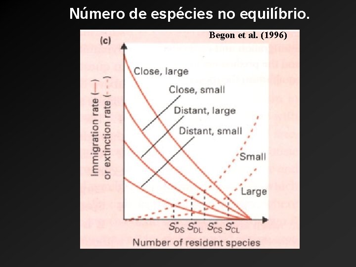 Número de espécies no equilíbrio. Begon et al. (1996) 