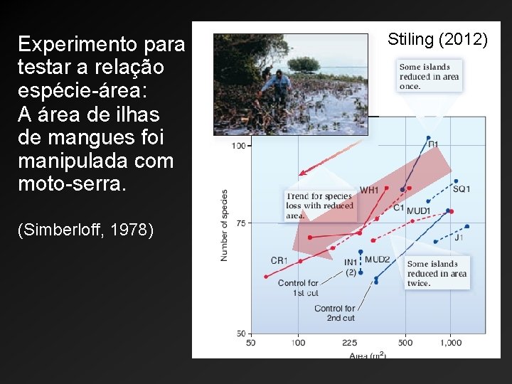 Experimento para testar a relação espécie-área: A área de ilhas de mangues foi manipulada