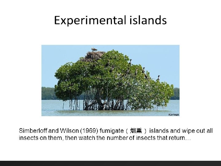 O teste realizado por E. O. Wilson & Simberloff Stiling (2012) 