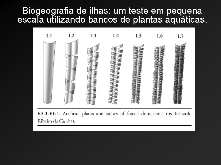 Biogeografia de ilhas: um teste em pequena escala utilizando bancos de plantas aquáticas. 