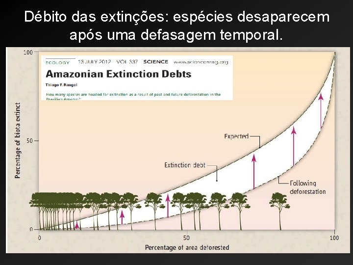 Débito das extinções: espécies desaparecem após uma defasagem temporal. 