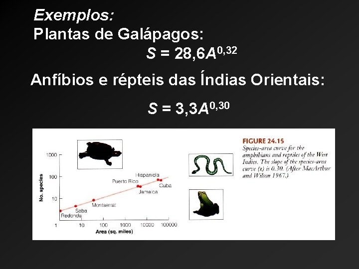 Exemplos: Plantas de Galápagos: S = 28, 6 A 0, 32 Anfíbios e répteis