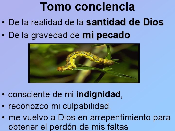 Tomo conciencia • De la realidad de la santidad de Dios • De la
