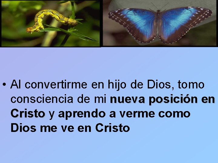  • Al convertirme en hijo de Dios, tomo consciencia de mi nueva posición