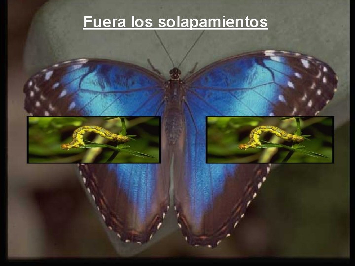 Fuera los solapamientos 