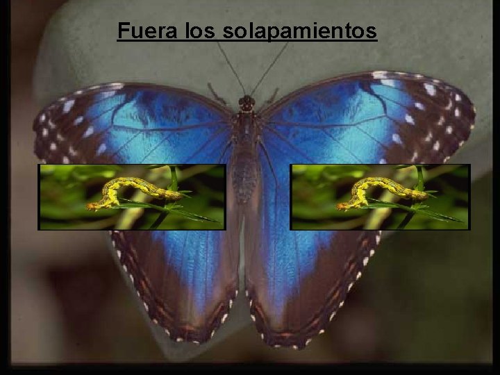 Fuera los solapamientos 