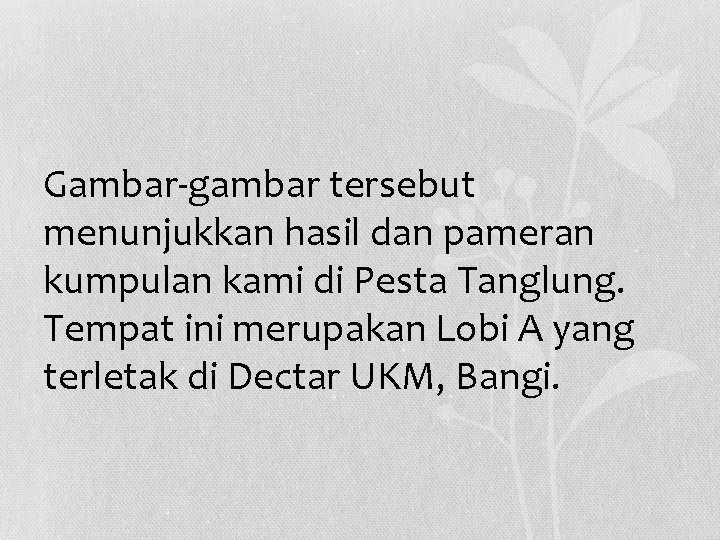 Gambar-gambar tersebut menunjukkan hasil dan pameran kumpulan kami di Pesta Tanglung. Tempat ini merupakan