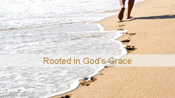 Rooted in God’s Grace 