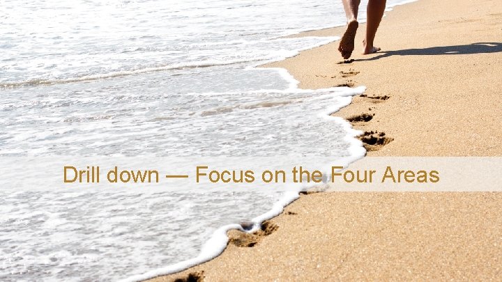 Drill down — Focus on the Four Areas 