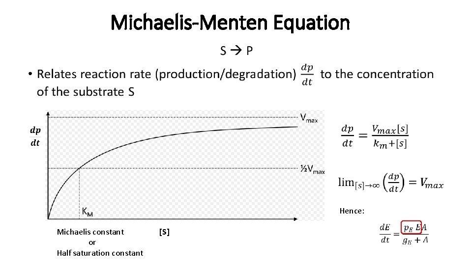Michaelis-Menten Equation • Hence: Michaelis constant or Half saturation constant [S] 