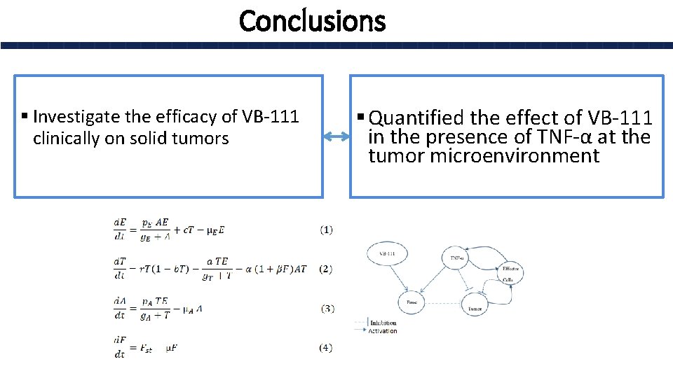 Conclusions § Investigate the efficacy of VB-111 clinically on solid tumors § Quantified the