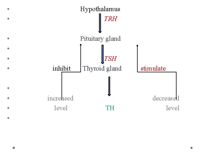  • • Hypothalamus TRH • • Pituitary gland • • inhibit increased level