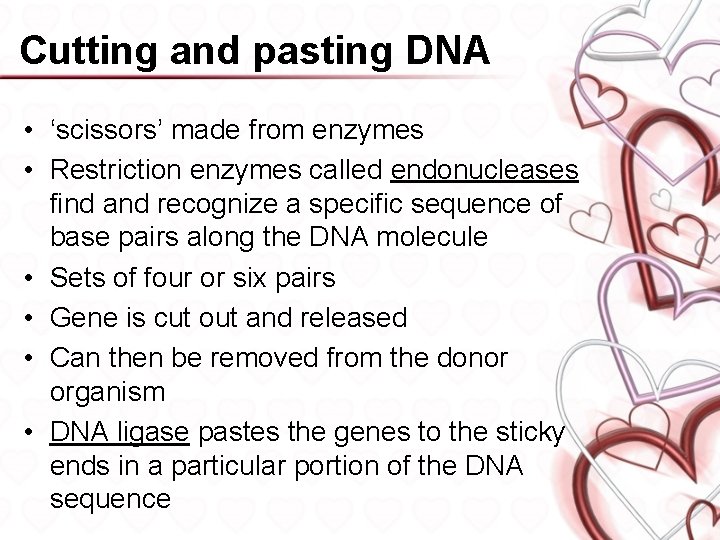 Cutting and pasting DNA • ‘scissors’ made from enzymes • Restriction enzymes called endonucleases