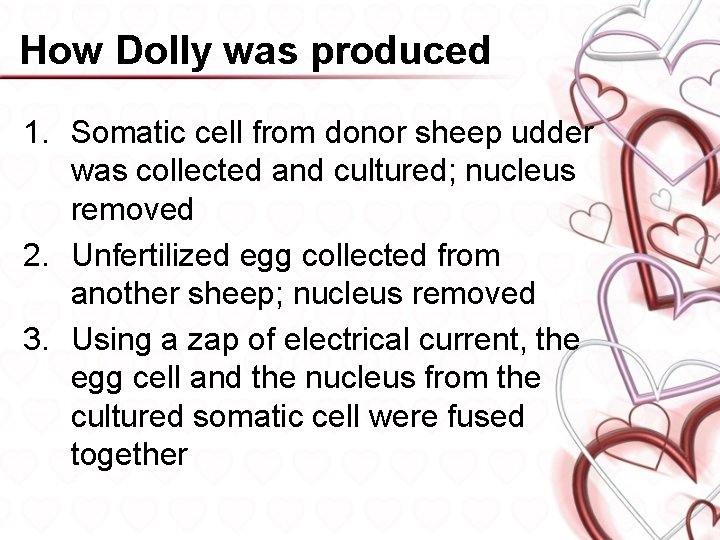 How Dolly was produced 1. Somatic cell from donor sheep udder was collected and