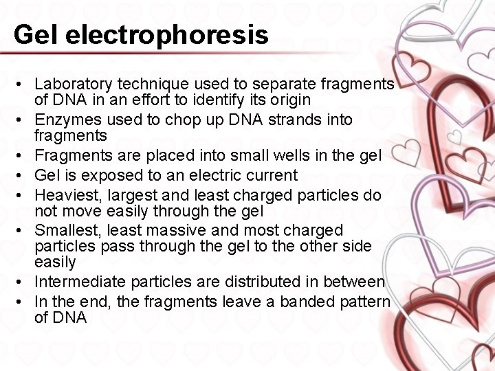 Gel electrophoresis • Laboratory technique used to separate fragments of DNA in an effort