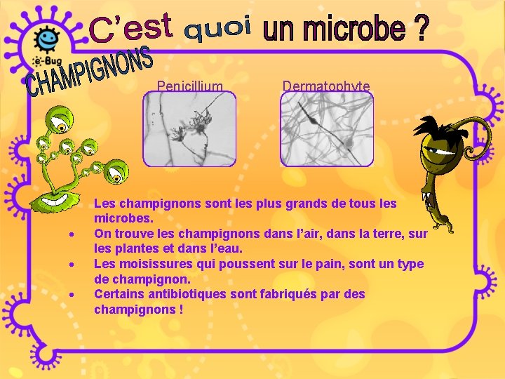 Penicillium · · Dermatophyte Les champignons sont les plus grands de tous les microbes.