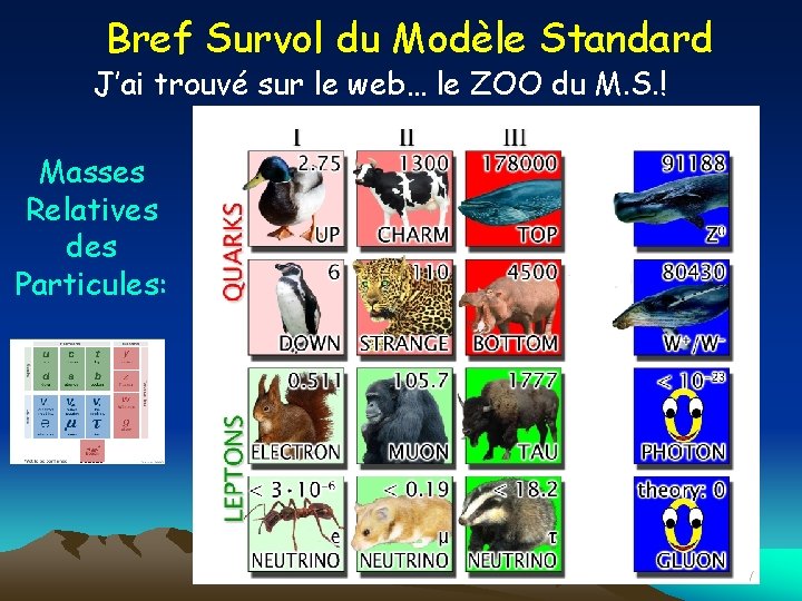 Bref Survol du Modèle Standard J’ai trouvé sur le web… le ZOO du M.