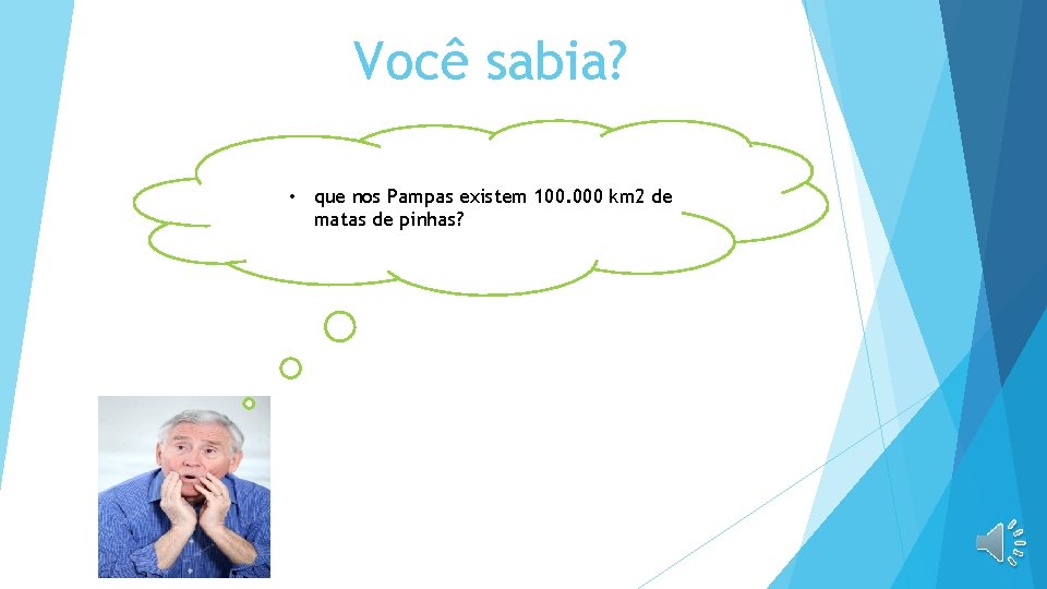 Você sabia? • que nos Pampas existem 100. 000 km 2 de matas de