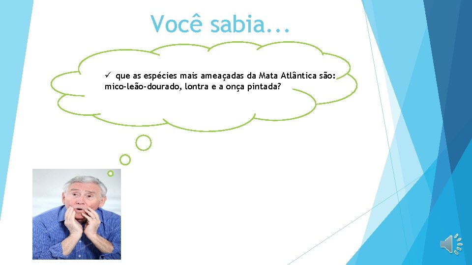 Você sabia. . . ü que as espécies mais ameaçadas da Mata Atlântica são: