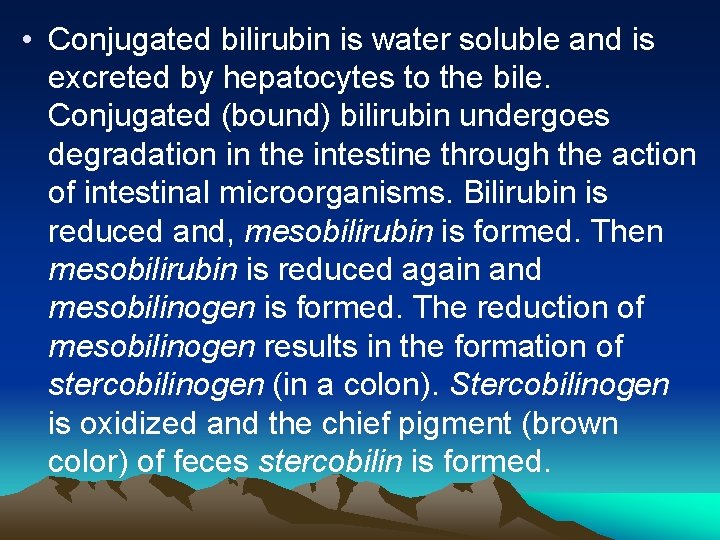  • Conjugated bilirubin is water soluble and is excreted by hepatocytes to the