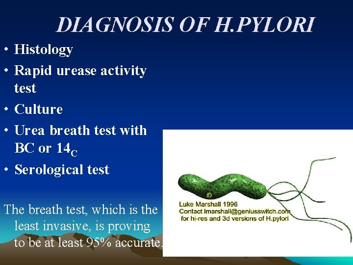 DIAGNOSIS OF H. PYLORI • Histology • Rapid urease activity test • Culture •