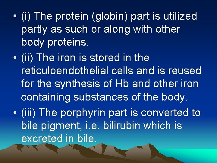  • (i) The protein (globin) part is utilized partly as such or along