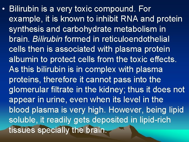  • Bilirubin is a very toxic compound. For example, it is known to