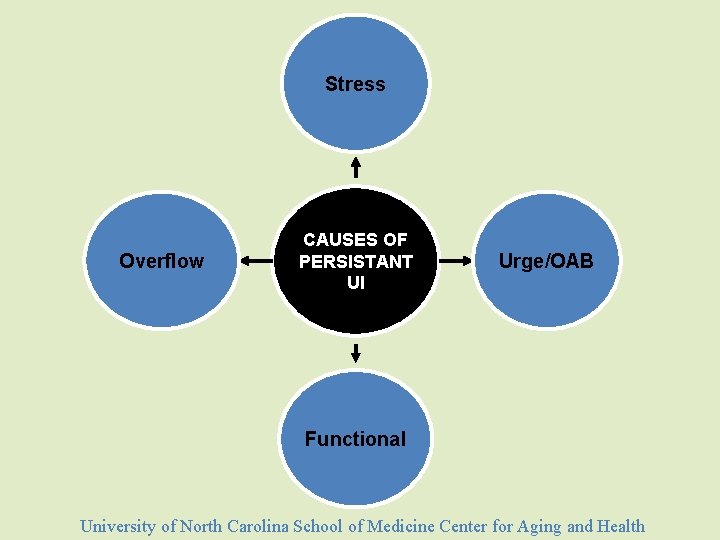 Stress Overflow CAUSES OF PERSISTANT UI Urge/OAB Functional University of North Carolina School of