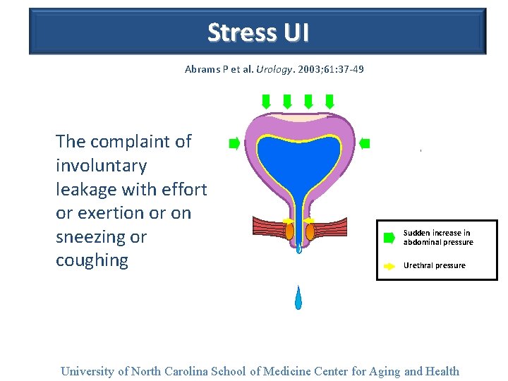 Stress UI Abrams P et al. Urology. 2003; 61: 37 -49. The complaint of